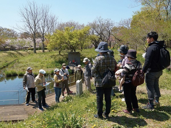 古河公方公園<br />
春の植物観察会