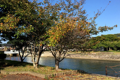 仁井田浜公園
